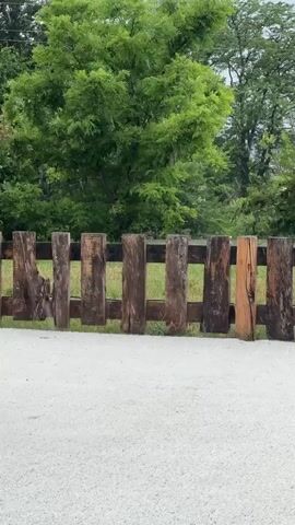 The video shows a wooden fence made of vertically placed logs of varying sizes and colors. Some logs are weathered and dark brown, while others are lighter and appear to be more recently added. The fence is situated in front of a backdrop of lush green trees and foliage, suggesting an outdoor, natural environment. The ground in front of the fence is covered in light-colored gravel or small stones. There are visible raindrops falling, indicated by streaks in the air, suggesting it is raining. The lighting is somewhat dim, consistent with overcast weather. The camera is stationary, capturing a still frame of the scene.