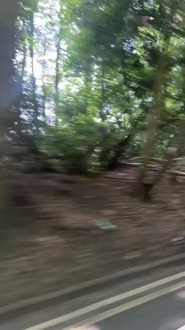 The video shows the interior of a car driving on a road with trees on either side. The camera is positioned in the back seat looking forward. The dashboard displays a navigation system. A pink sign with writing on it is hanging from the rearview mirror. The car appears to be moving at a moderate speed.