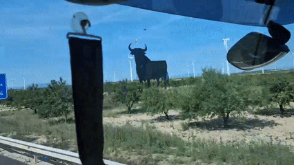 Black bull roadside structure observed near La Muela, Spain