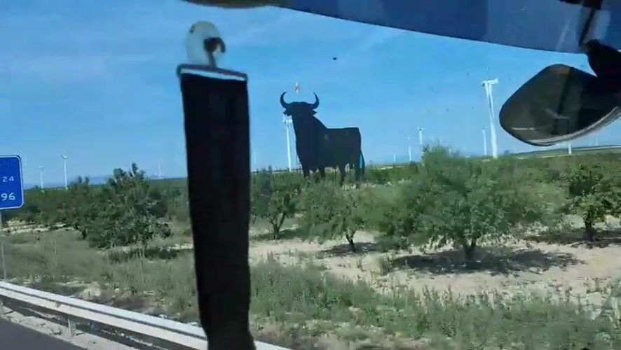 Black bull roadside structure observed near La Muela, Spain