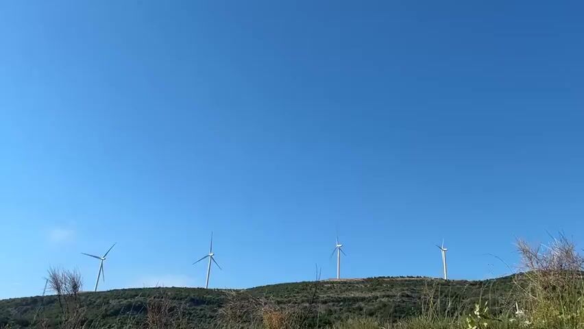 The video shows four windmills atop a green hill against a clear blue sky. The windmills are all white with three blades and are rotating at a moderate pace. The hill is covered in low-lying vegetation, with some taller grasses and shrubs in the foreground. The sky is a uniform blue, with no clouds visible. The overall scene is peaceful and serene.