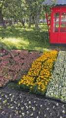Urban scenes captured: park gardening, train passenger viewing city