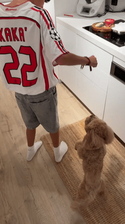 Kitchen moment with a small fluffy animal in Vila Nova de Gaia