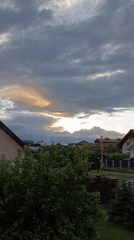 Siamese cat's evening in the garden under a stormy sunset sky