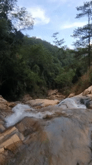 Nature walk documented in Đa Thọ countryside features waterfalls, wildlife