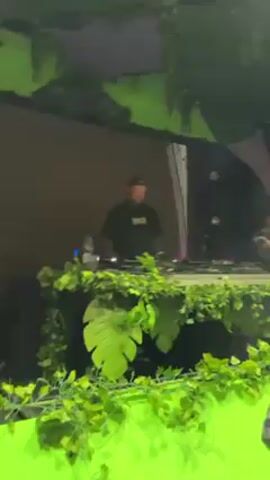 A DJ is playing music at an event. He is wearing a black shirt and a baseball cap. The DJ booth is decorated with greenery. There are lights and smoke in the background. The camera moves around, capturing different angles of the DJ and the scene. The sound of electronic dance music is audible.