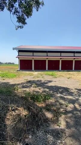 A static shot shows a long, low building with a red metal roof and a white overhang. The building has a row of five red rollup doors. In front of the building is a dirt area with some sparse green vegetation and dry brush. A large tree branch is visible in the upper left corner of the frame, casting shadows on the ground. The sky is clear and blue.