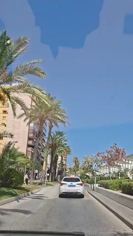 A white car, likely a taxi given the light on the roof, drives down a street lined with palm trees and buildings on the left, and trees and residences on the right. The sky is a clear blue. There are a few pedestrians on the sidewalk on the left. A crosswalk sign is visible on the right side of the street.