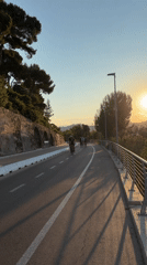 Cyclists ride Imperia's coastal road at sunset