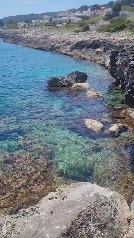 The video captures a rocky coastline on a sunny day with clear turquoise water. The shoreline is composed of layered rock formations. In the distance, a line of buildings and vegetation is visible along the coast.  The water is mostly calm, with some small ripples and visible rocks under the surface. Initially the view is devoid of people, but several swimmers enter the frame, some gathering around a large rock formation in the water. Some swimmers are paddling on what appear to be boards.