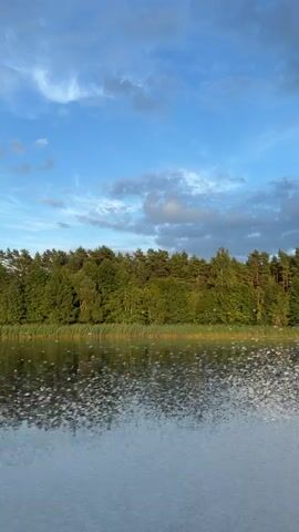 A vertical video shows a lake with a line of trees on the opposite shore. The sky is blue with scattered clouds. The water in the foreground is choppy and appears to have a lot of foam or small bubbles on the surface. The reflection of the trees is visible on the calmer parts of the water. The scene appears to be outdoors during daylight.
