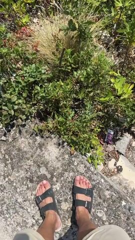The video begins with a close-up shot of a person's feet wearing black sandals, standing on a concrete surface with green vegetation in the background. The camera then pans upwards to reveal a dense collection of green and reddish plants. The scene transitions to a panoramic view of a coastal landscape. Mountains covered in lush green trees form the backdrop, meeting a calm, blue body of water. A crescent-shaped beach is visible, lined with buildings and nestled between hills. The sky is clear and blue.