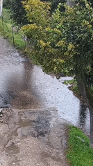 A rainy autumn afternoon on rural roads in Belarus