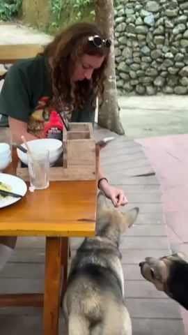 The video opens showing a woman with curly brown hair and sunglasses perched on her head, wearing a green t-shirt, sitting at a wooden table. She is looking down at her phone and interacting with two dogs that are near the table. She is feeding one of the dogs from her hand. The table has some dishes and a wooden condiment holder on it. In the background, there is a stone wall and lush greenery. The scene appears to be an outdoor seating area with a rustic feel. The camera then pans to reveal a beautiful waterfall cascading through a forested area. The view is from a balcony or deck, with a green railing in the foreground and wooden furniture. The sound of the waterfall is audible. The lighting suggests it is daytime.