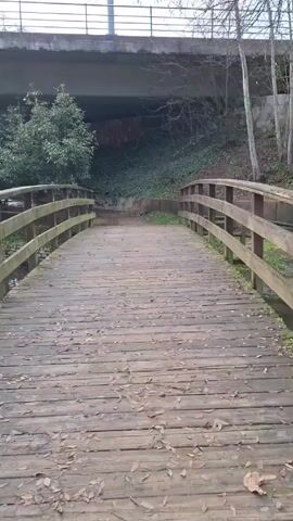 The camera is positioned on a small wooden bridge, constructed of horizontal planks and featuring wooden railing on each side. A scattering of brown leaves covers the bridge's surface. Directly ahead, the bridge leads to a path ascending a slight slope covered in green vegetation. Above this slope, a concrete overpass spans the scene. 

The camera then pans to the right, revealing a stream flowing beneath the bridge. The stream is lined with stone embankments. Beyond the stream, a grassy area with trees is visible. The sky overhead appears overcast.