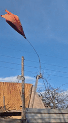 Daily life moments documented in Chaikovsky, Russia