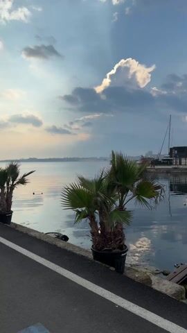 The video shows a waterfront scene with a small palm tree in a black pot on the edge of an asphalt path. To the right is a calm body of water reflecting the sky and clouds above. In the distance, there's a building on the waterfront with modern architecture and several windows, along with a sailboat mast. The sky is partly cloudy with beams of sunlight breaking through the clouds. The overall scene is peaceful and serene.