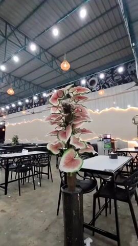 This is a video of an indoor restaurant in Namplohbaro, Indonesia. The setting is spacious with a high, industrial-style ceiling featuring exposed metal beams and numerous circular lights. Woven pendant lamps hang at intervals, casting a warm glow. The floor appears to be concrete.

The restaurant is furnished with many dark tables and chairs, all set up for dining. In the foreground, a tall, artificial plant with large, pink and green leaves in a dark pot stands prominently. Further into the restaurant, more tables and chairs are visible, with some patrons seated at them. The wall in the background is decorated with a wavy, illuminated design and some framed pictures or artwork. The overall atmosphere suggests a casual dining establishment.

A young man in a grey hoodie with green lettering is seated at a table in the mid-ground, looking at his phone with one hand touching his forehead, possibly appearing thoughtful or bored. Other people are sparsely seated at tables further back. The lighting suggests it could be evening or a dimly lit indoor space. The overall scene is calm and unoccupied, with the activity limited to a few diners and the general ambiance of a restaurant waiting for customers. No specific events are taking place beyond the normal operation of a restaurant. The time of day is not explicitly clear, but the indoor lighting suggests it's not bright daylight. There is no visible text in the video, except for what might be on the artwork or signs in the background, which is not legible.