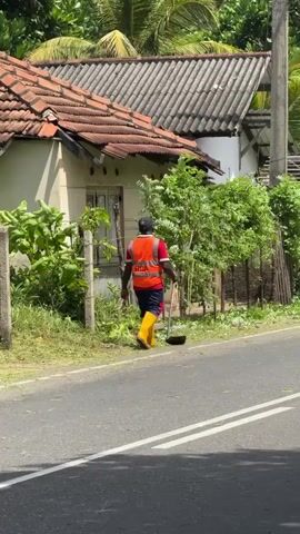 A person wearing a bright orange vest and yellow boots sweeps grass from the side of a paved road. The person is positioned with their back to the camera, facing a chain-link fence and a white building with a weathered tile roof. Lush green foliage, including palm trees, is visible behind the building and fence. The road has white lane markings. The sun appears to be shining, casting shadows.