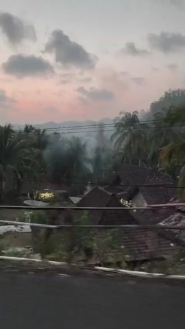 The video shows a view from a moving vehicle looking out at a landscape with palm trees and houses. The sky is a soft pink and gray, suggesting dawn or dusk. There is some mist or smoke rising in the distance. The foreground is blurred due to the movement of the vehicle.