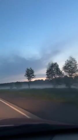 The video is a first-person perspective of someone driving on a road at dusk. The sky is a gradient of blue and pink, with some clouds. There is a mist or fog rolling across a field on the right side of the road, obscuring the trees in the distance. The road has a white line marking the lane. The bottom of the video shows the dashboard and windshield of the car. The overall mood is peaceful and serene, suggesting a quiet drive through the countryside.