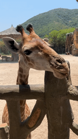 Colorful Magic Shop building spotted in Nha Trang, Vietnam