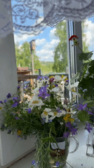 Wildflower bouquet and red geranium documented on windowsill