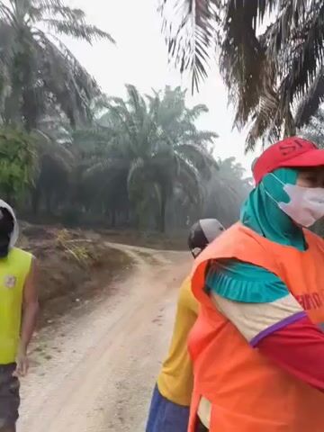 The video begins with a view of a dirt road in what appears to be a palm oil plantation. Several individuals are visible, some walking and others in the background. The camera then focuses on a person wearing an orange vest with "Garlon 670 Starane Starane" printed on it. This person is also wearing a red cap, a light blue head covering, a face mask, and white gloves. They are holding up two fingers on each hand in a peace sign gesture and appear to be smiling. The environment is characterized by numerous palm trees, some appearing to be in mist or fog, suggesting possibly early morning or humid conditions. The overall impression is of workers in an agricultural setting.