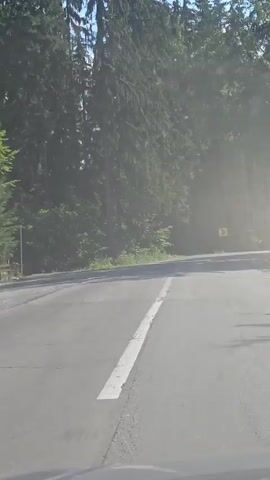 The video shows a road with trees on either side. The road appears to be in a forest or wooded area. There is a yellow sign with a black arrow indicating a curve to the right. The sun is shining, and the light is filtering through the trees, creating dappled shadows on the road. The road surface is asphalt and appears to be in fair condition. There is a white line marking the center of the road. The video is shot from a moving vehicle, likely a car, as indicated by the slight vibration and forward motion. No people or other vehicles are visible in the frame.