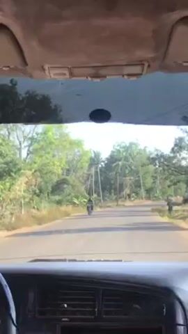 The video, taken from inside a car, shows a road in a rural area. The road is paved and lined with lush greenery and palm trees. A few people are walking and riding motorcycles on the road. The interior of the car, including the dashboard and ceiling, is visible in the foreground. The overall impression is of a peaceful, tropical scene.