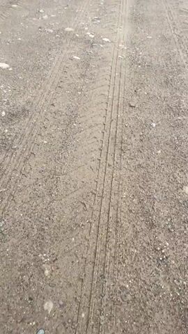 The video shows a dirt road with tire tracks. The road is lined with green grass and trees. The sky is cloudy.