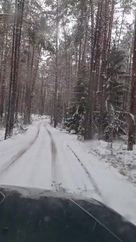 The video shows a snowy road through a forest. The road is covered in snow and there are tire tracks on it. The trees are tall and covered in snow. The sky is overcast and it is snowing lightly. The video appears to be taken from the dashboard of a vehicle moving forward on the snowy road.