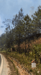 Forest fire burns near curved road in Vietnam