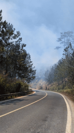 Forest fire burns near curved road in Vietnam
