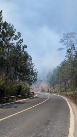 The video shows a road curving through a forest where a fire is burning on the hillside. The road is paved and has a yellow line marking the center. A metal guardrail is visible on the side of the road closest to the viewer. The hillside is covered with trees, dry grass, and exposed red soil. Patches of fire and smoke are visible on the slope. The sky is hazy, likely due to the smoke from the fire.  The camera appears to be mounted in a vehicle moving along the road.
