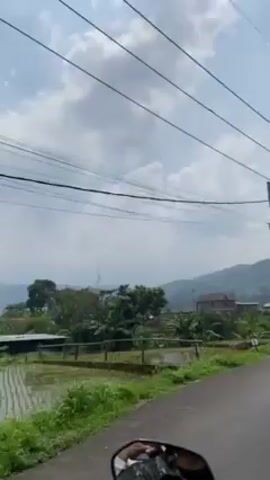 The video shows a view from a moving vehicle traveling down a paved road. On the left side of the road, there are rice paddies with young rice plants growing in water. Beyond the rice paddies, there are a few houses and trees. In the distance, there are low mountains. The sky is overcast with white clouds.  Power lines and a utility pole are visible above the road. The road is asphalt. The video appears to be shot from the perspective of someone riding a motorcycle or scooter.