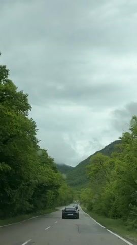 The camera is mounted in a vehicle traveling on a road with a double yellow line. The road runs through a tree-lined area, and in the distance, there are mountains partially obscured by low-hanging clouds. The sky is overcast. Several cars are traveling in the same direction as the camera, including a yellow Porsche.