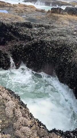 The video shows a close-up view of a tide pool on a rocky coastline. The water in the tide pool is a light green color and is churning with white foam. Waves are crashing on the rocks in the background. The rocks around the tide pool are covered in barnacles and other marine life. The overall scene is one of natural beauty and the power of the ocean.