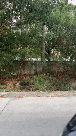 Daily life moments captured in Thai suburban neighborhood