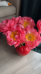 Moscow residents document pink peony arrangements, subway scenes