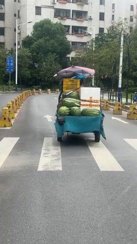 A three-wheeled cart laden with watermelons and white boxes is being pulled down a wet, paved road. The cart is covered with a teal tarp and an umbrella. The road is lined with yellow traffic barriers. In the background, there are buildings and trees. A blue sign with white text is visible on the left side of the road. The video appears to be shot from a vehicle moving behind the cart.