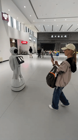 Service robot displays weather, animated eyes in Beijing district lobby