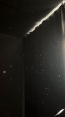 Dust particles caught dancing in beam of light, Perm