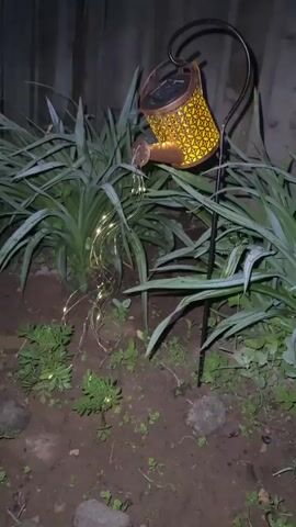 The video shows a solar-powered watering can garden ornament in a backyard at night. The watering can is shaped like a vintage watering can and has a patterned design that lights up. It is mounted on a stand and appears to be pouring a stream of lights onto the ground below, simulating water. The watering can is surrounded by green plants and a wooden fence is visible in the background. The ground is covered in soil and some small stones. The lighting suggests it is nighttime and the watering can is illuminated by its own solar lights.