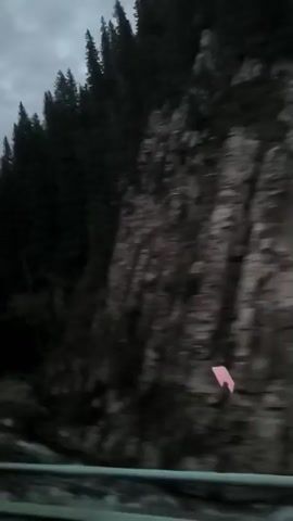 The video shows a dark, cloudy sky above a dense forest of evergreen trees that climb a steep mountain slope. A river or stream flows in the foreground. There are no people or clear actions visible, but there are a few pink objects visible in the distance on the right side of the screen. The video appears to be taken from a moving vehicle, as indicated by the blurriness and the guardrail in the foreground. The overall mood is somber and slightly eerie due to the lighting and the dark trees.