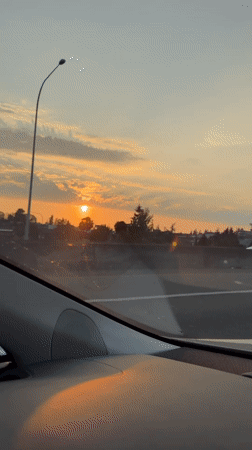 Glowing Tacoma sunset framed by trees and power lines