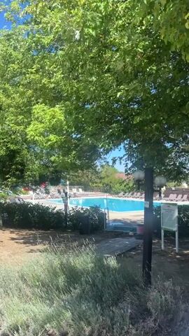 The video shows a view of a swimming pool area, partially obscured by green foliage from trees. The pool is bright blue and appears to be empty of people at the moment. There are lounge chairs around the pool area. In the foreground, there is some dry grass and a small wooden bridge leading to the pool area. A black lamppost with two lights stands near the bridge. A green sign with text is visible to the right of the lamppost. The sky is clear and blue. The overall impression is of a sunny day in an outdoor recreational space.