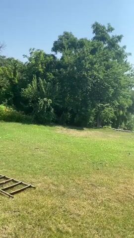 The video shows a peaceful outdoor scene with a well-maintained lawn in the foreground. A sprinkler is visible on the lawn, attached to a hose that snakes across the grass. Beyond the lawn, a tranquil lake stretches out, bordered by lush green trees and reeds. A wooden dock with a bench extends into the water, offering a perfect spot for relaxation. The sky is a clear, brilliant blue, suggesting a beautiful, sunny day. The overall impression is one of serenity and natural beauty.