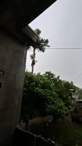 Rain falls heavily on a cloudy day. The camera pans across a rural scene, showing trees, houses, and power lines. In one shot, a person is seen on a ladder, working near the roof of a building, seemingly to clear a blockage causing water to pour from an overhang.