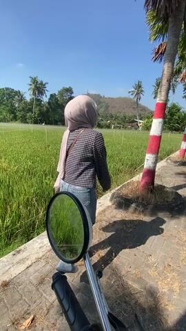 A young woman wearing a light brown hijab, a checkered long-sleeved shirt, and blue jeans stands facing away from the camera in an outdoor setting. She is holding a pink smartphone in her right hand and appears to be gesturing with it. The background features a vibrant green rice field stretching towards a distant, sparsely vegetated hill under a clear blue sky. To the right of the woman, a palm tree with a trunk painted with red and white stripes stands prominently. The foreground shows a section of a brick pathway and the metallic handlebars and a circular mirror of a motorcycle, reflecting the green field. Sunlight casts long shadows on the ground, indicating it is a bright, sunny day.
